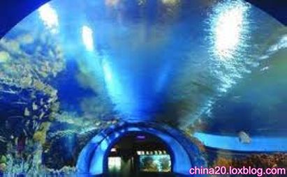 عکس های زیبا از آکواریم هایانگ گان پکن(2)- Haiyangguan Aquarium beijing
