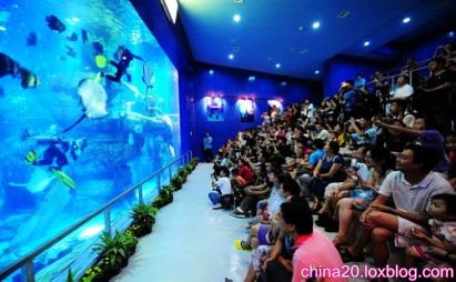 عکس های زیبا از آکواریم هایانگ گان پکن- Haiyangguan Aquarium beijing